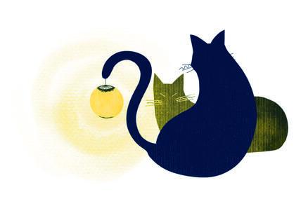ランプを持つ猫